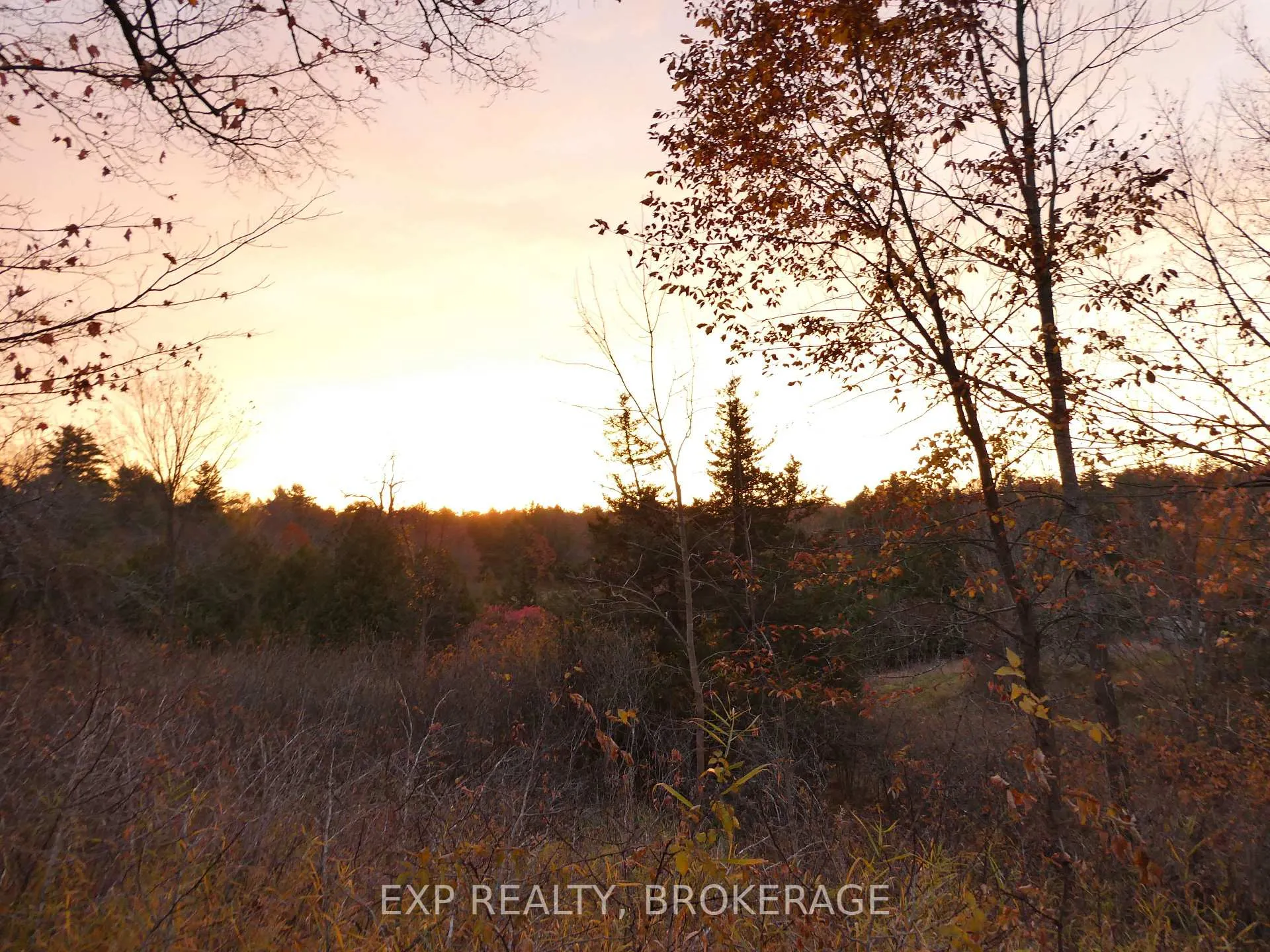 Photo 12 of PT LT 5 CON 4 James Wilson Road, Frontenac, Frontenac South — HOMEH