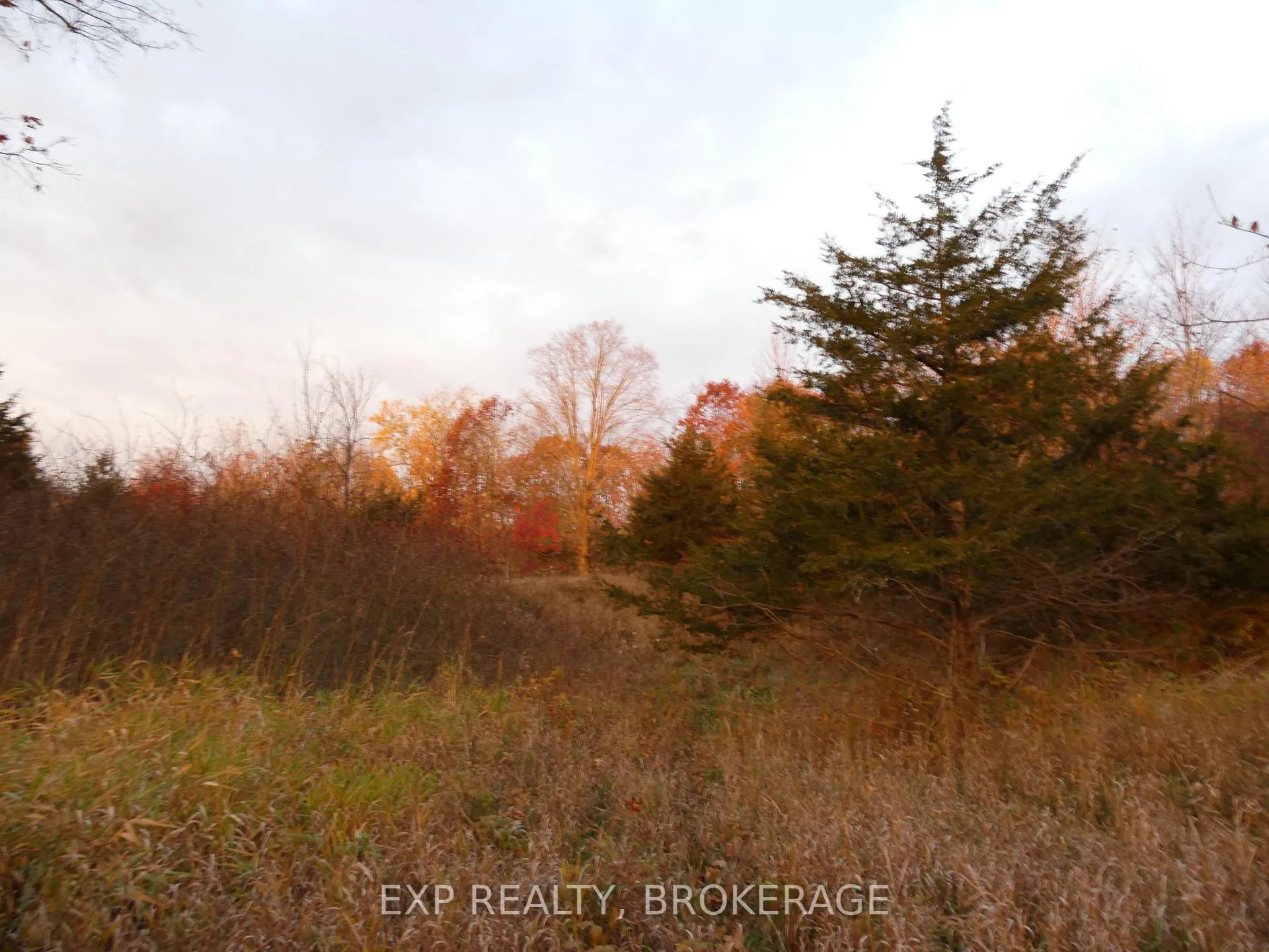 Photo 13 of PT LT 5 CON 4 James Wilson Road, Frontenac, Frontenac South — HOMEH