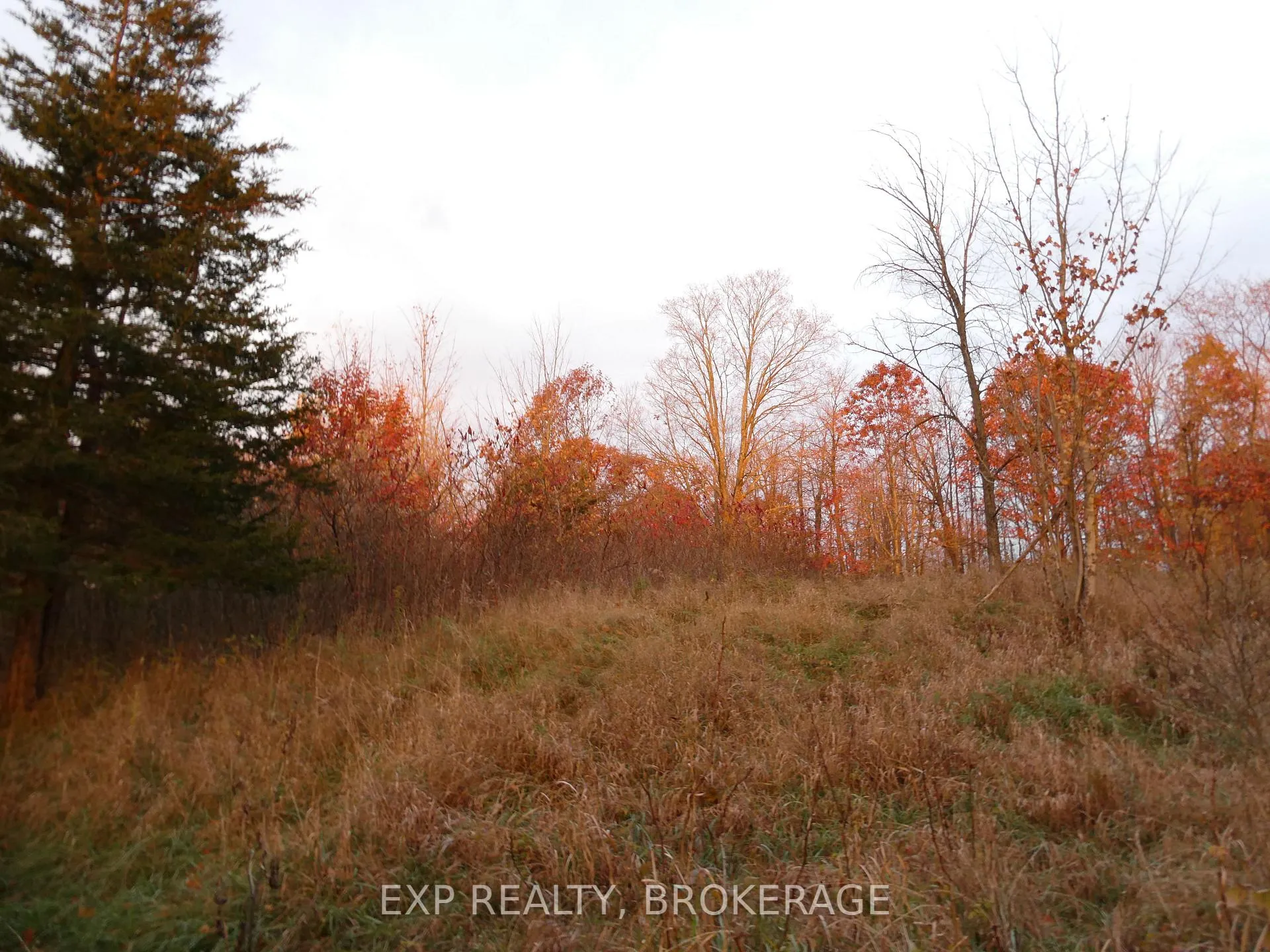 Photo 14 of PT LT 5 CON 4 James Wilson Road, Frontenac, Frontenac South — HOMEH