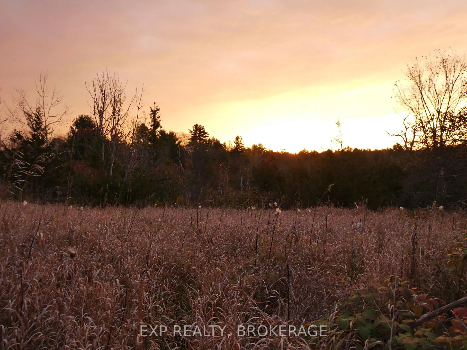 Photo 15 of PT LT 5 CON 4 James Wilson Road, Frontenac, Frontenac South — HOMEH