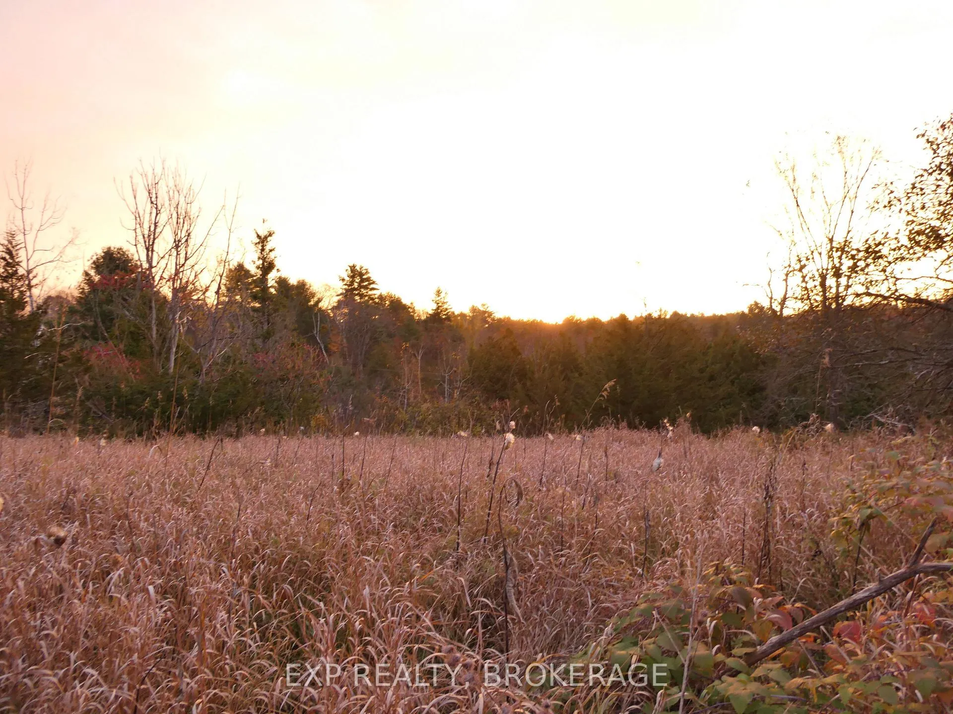 Photo 16 of PT LT 5 CON 4 James Wilson Road, Frontenac, Frontenac South — HOMEH