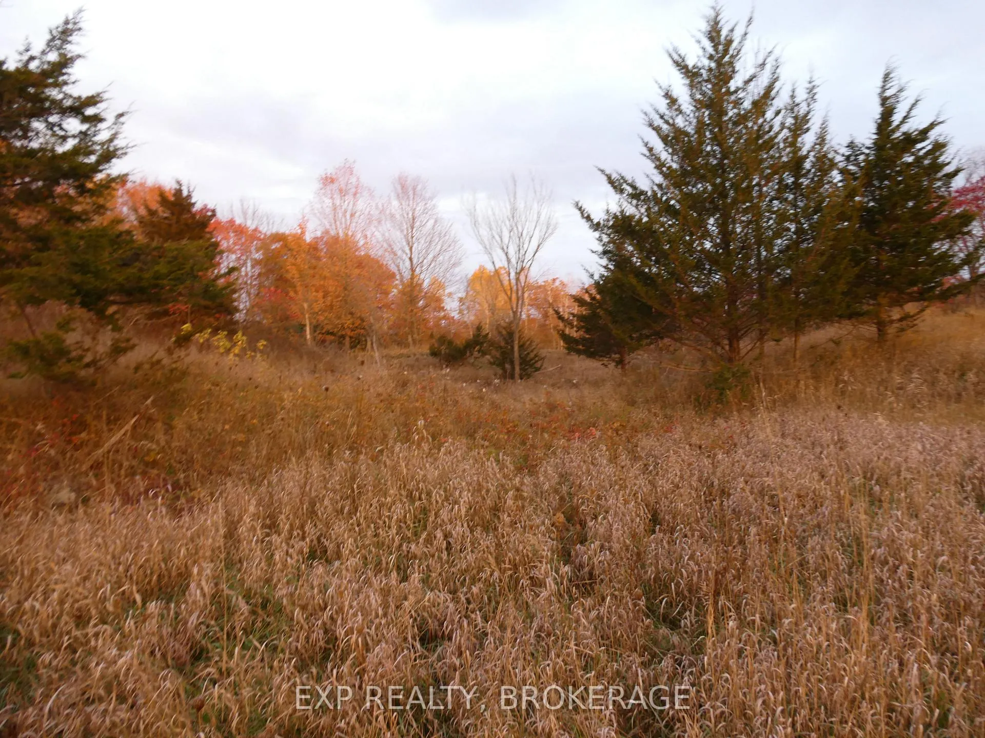 Photo 17 of PT LT 5 CON 4 James Wilson Road, Frontenac, Frontenac South — HOMEH
