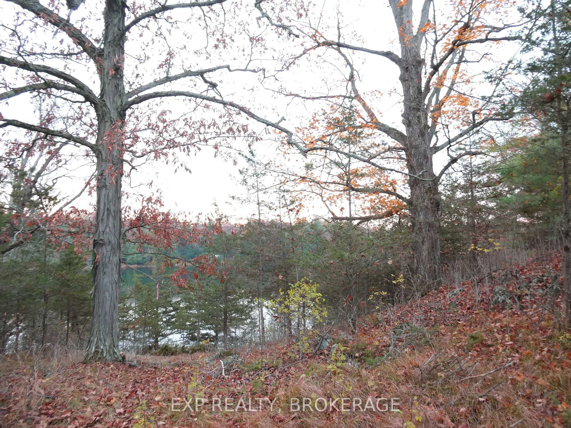 Photo 19 of PT LT 5 CON 4 James Wilson Road, Frontenac, Frontenac South — HOMEH