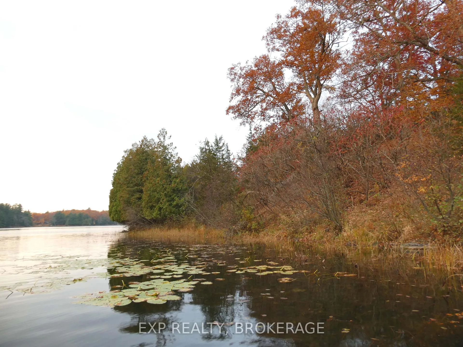 Photo 23 of PT LT 5 CON 4 James Wilson Road, Frontenac, Frontenac South — HOMEH