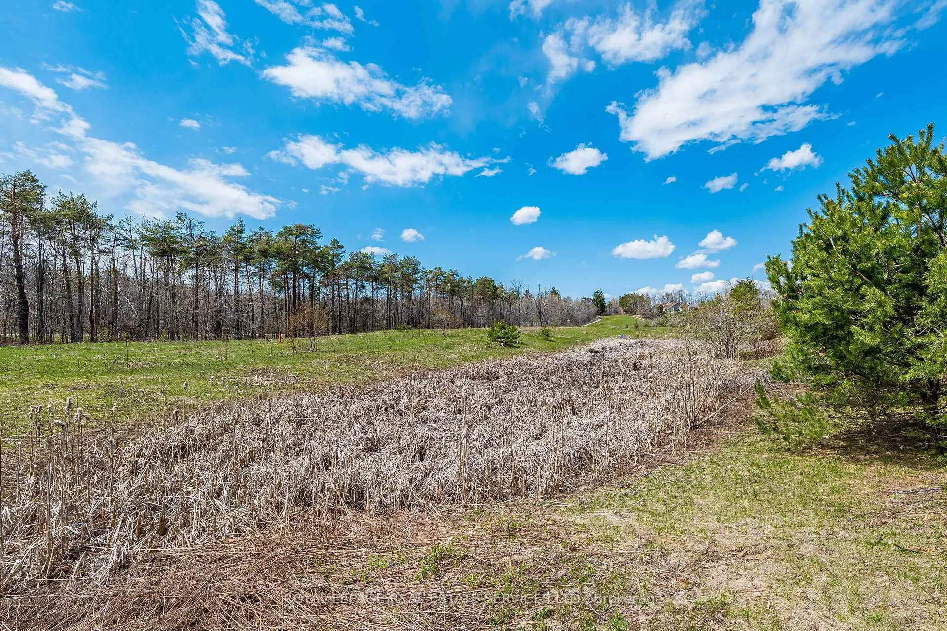 Photo 47 of 40 Landscape Drive, Oro-Medonte, Horseshoe Valley — HOMEH