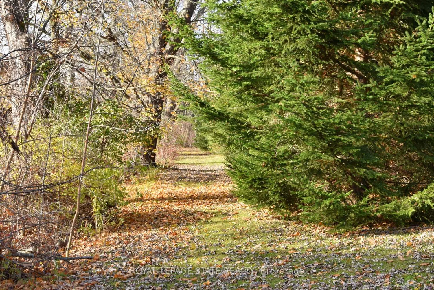 Photo 29 of 104 Diltz Road, Haldimand, Dunnville — HOMEH