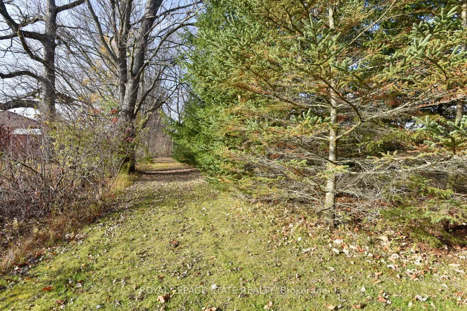 Photo 30 of 104 Diltz Road, Haldimand, Dunnville — HOMEH