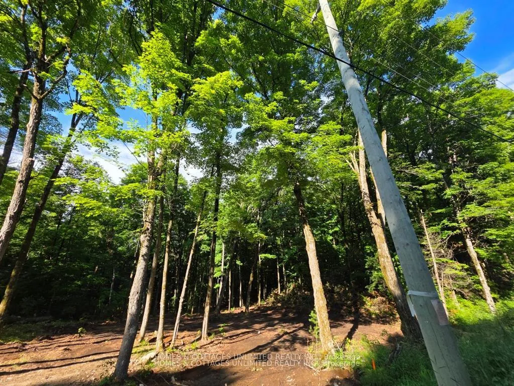 Photo 3 of 2456 Conc Dalhousie Concession, Lanark Highlands, Lanark Highlands (Dalhousie) Twp — HOMEH