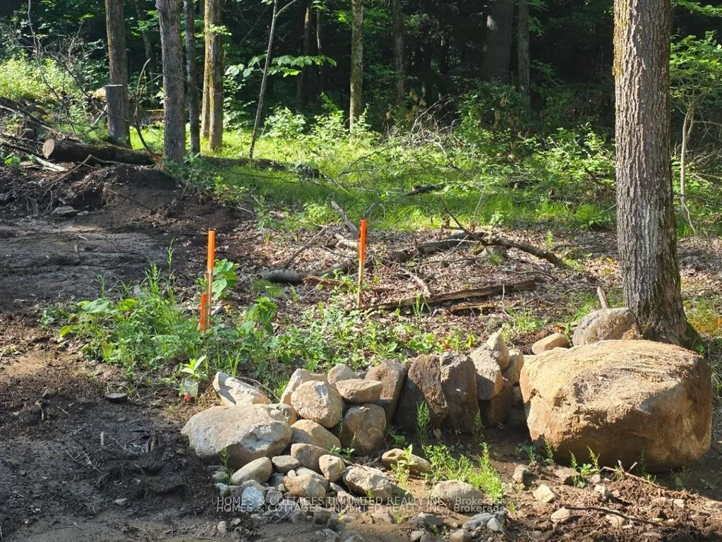 Photo 4 of 2456 Conc Dalhousie Concession, Lanark Highlands, Lanark Highlands (Dalhousie) Twp — HOMEH
