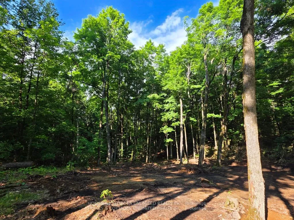 Photo 5 of 2456 Conc Dalhousie Concession, Lanark Highlands, Lanark Highlands (Dalhousie) Twp — HOMEH