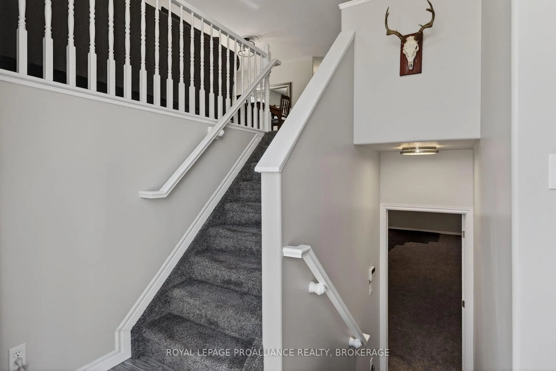 Photo 9 of 182 Briceland Street, Kingston, Rideau — HOMEH