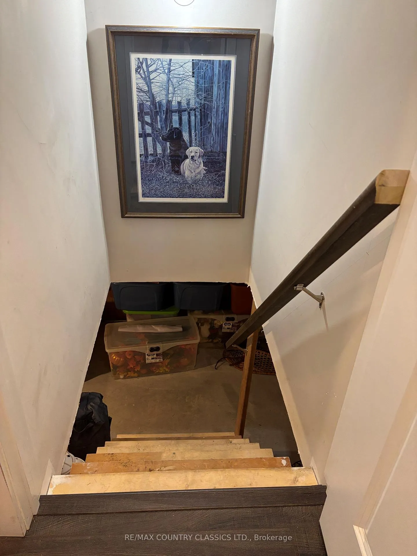 Photo 22 of 32 Bancroft Ridge Drive, Bancroft, Bancroft Ward — HOMEH