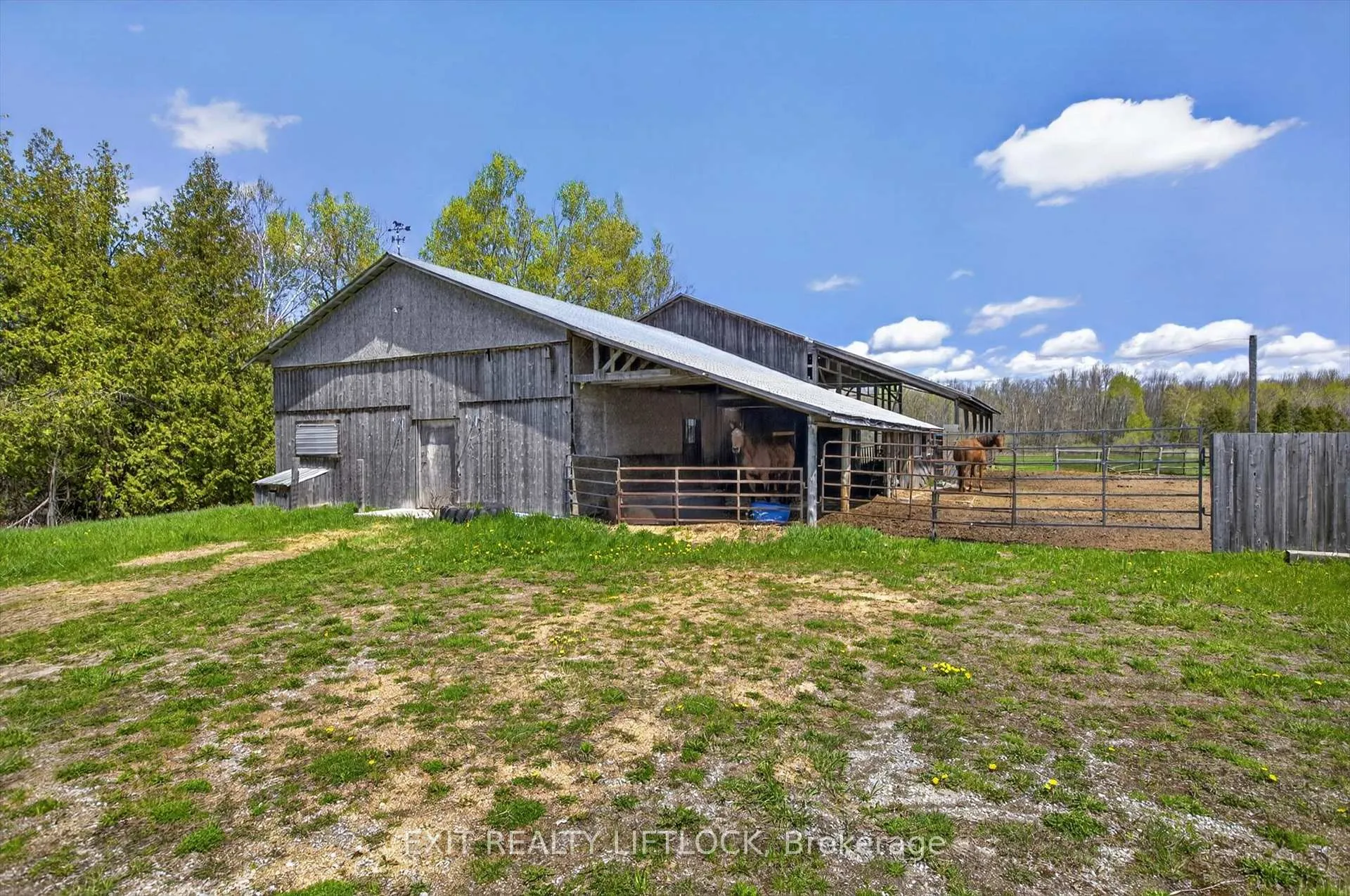 Photo 19 of 39 Third Line Rd, Douro-Dummer — HOMEH