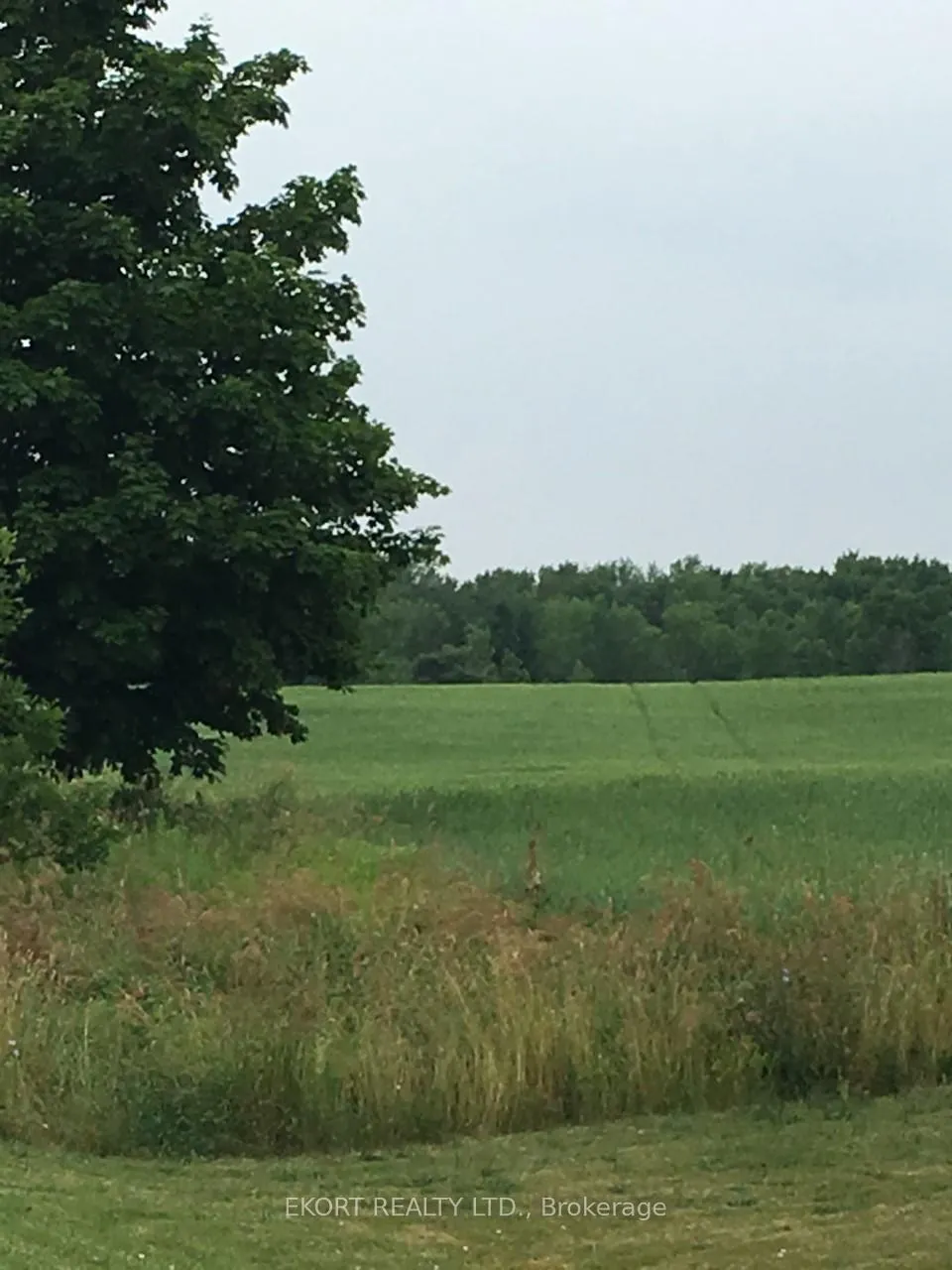 Photo 11 of PL17 62 Highway S, Prince Edward County, Hallowell Ward — HOMEH
