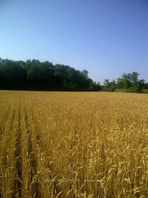 Photo 3 of PL17 62 Highway S, Prince Edward County, Hallowell Ward — HOMEH