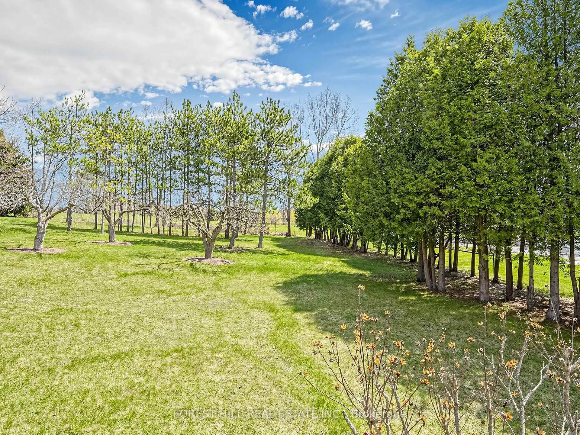 Photo 34 of 4248 Bloomington Road, Whitchurch-Stouffville, Rural Whitchurch-Stouffville — HOMEH