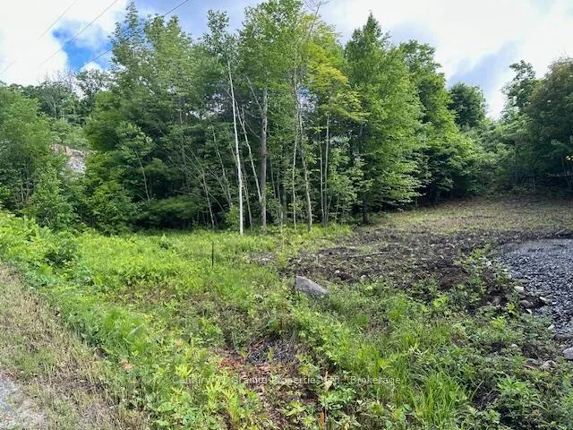 Photo 2 of 4 McNaughts Road, Seguin — HOMEH