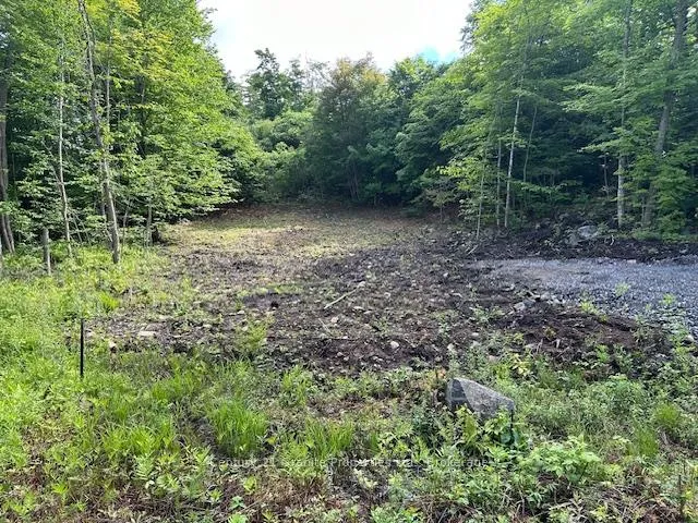 Photo 3 of 4 McNaughts Road, Seguin — HOMEH