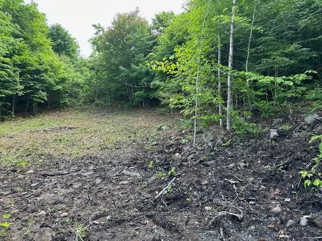 Photo 5 of 4 McNaughts Road, Seguin — HOMEH