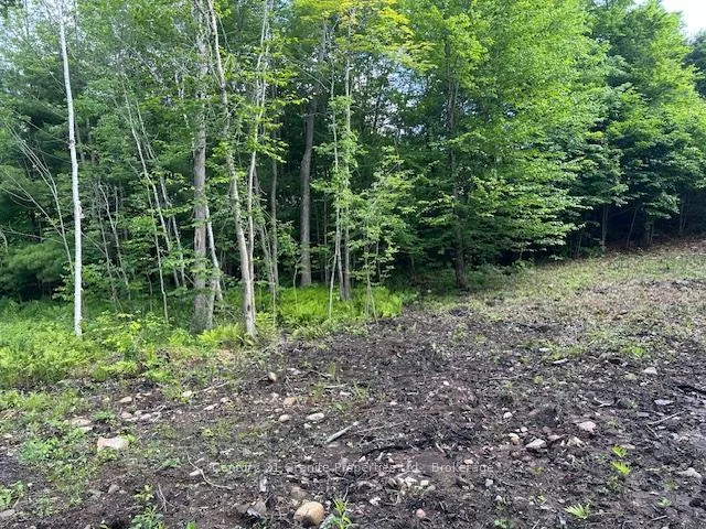 Photo 6 of 4 McNaughts Road, Seguin — HOMEH