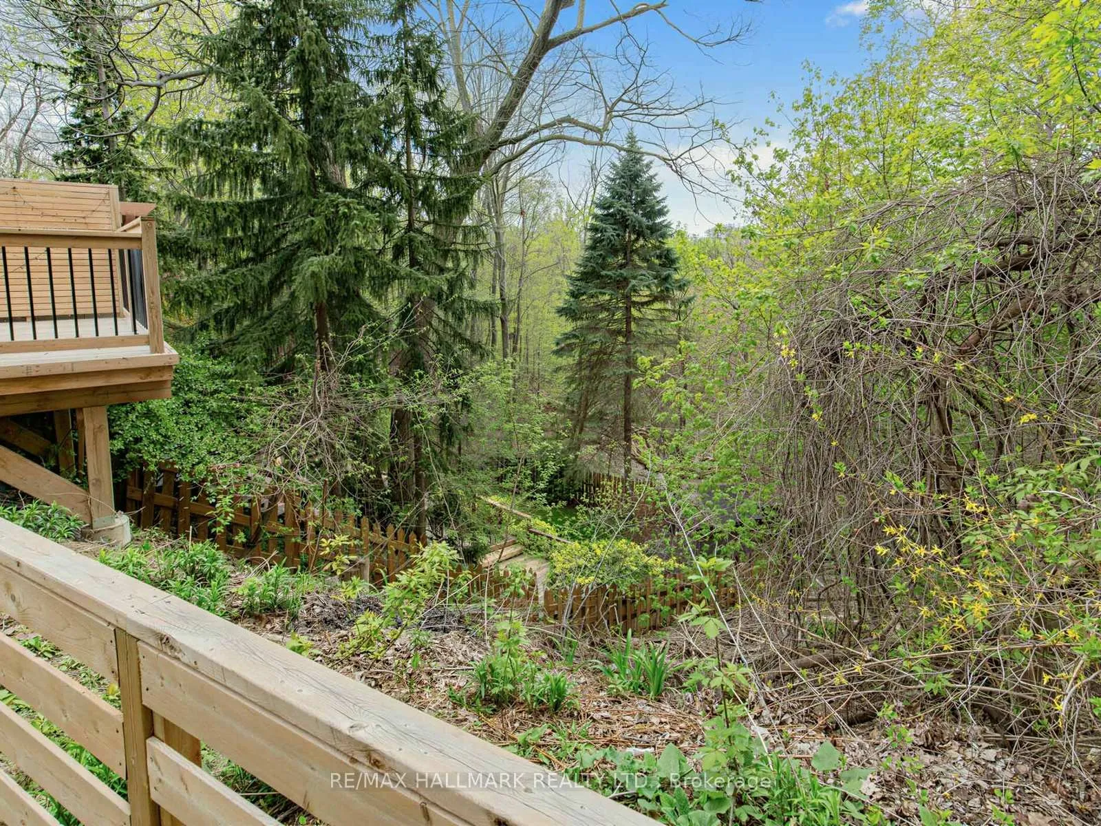 Photo 33 of 1 Ferncliff Court, Toronto, O'Connor-Parkview — HOMEH
