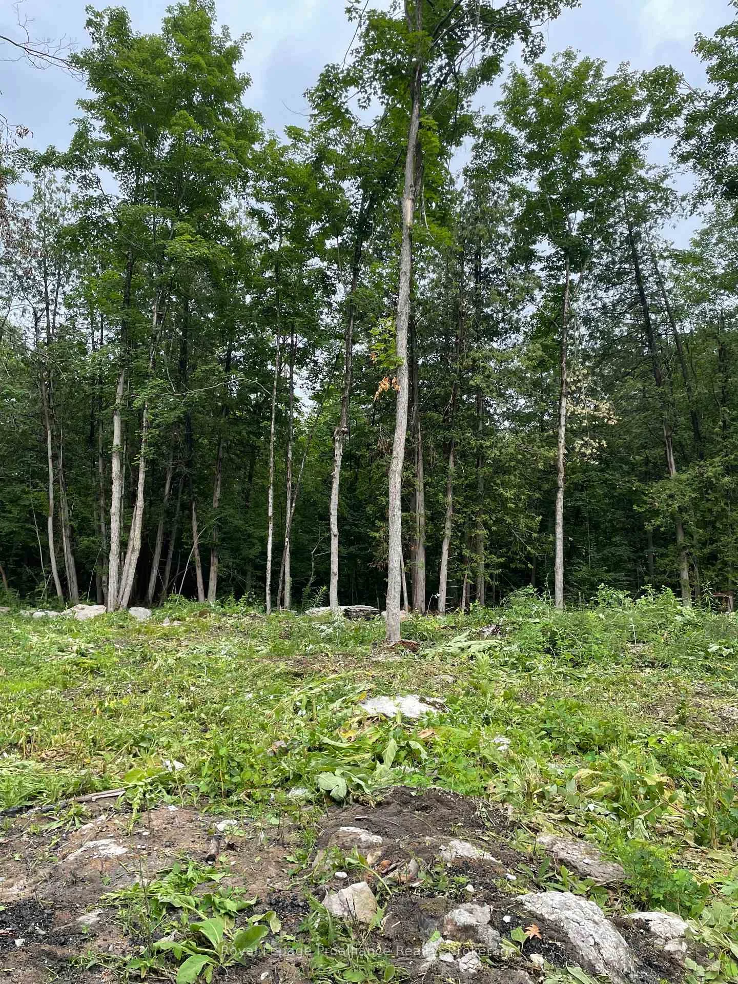 Photo of 378 Station Road