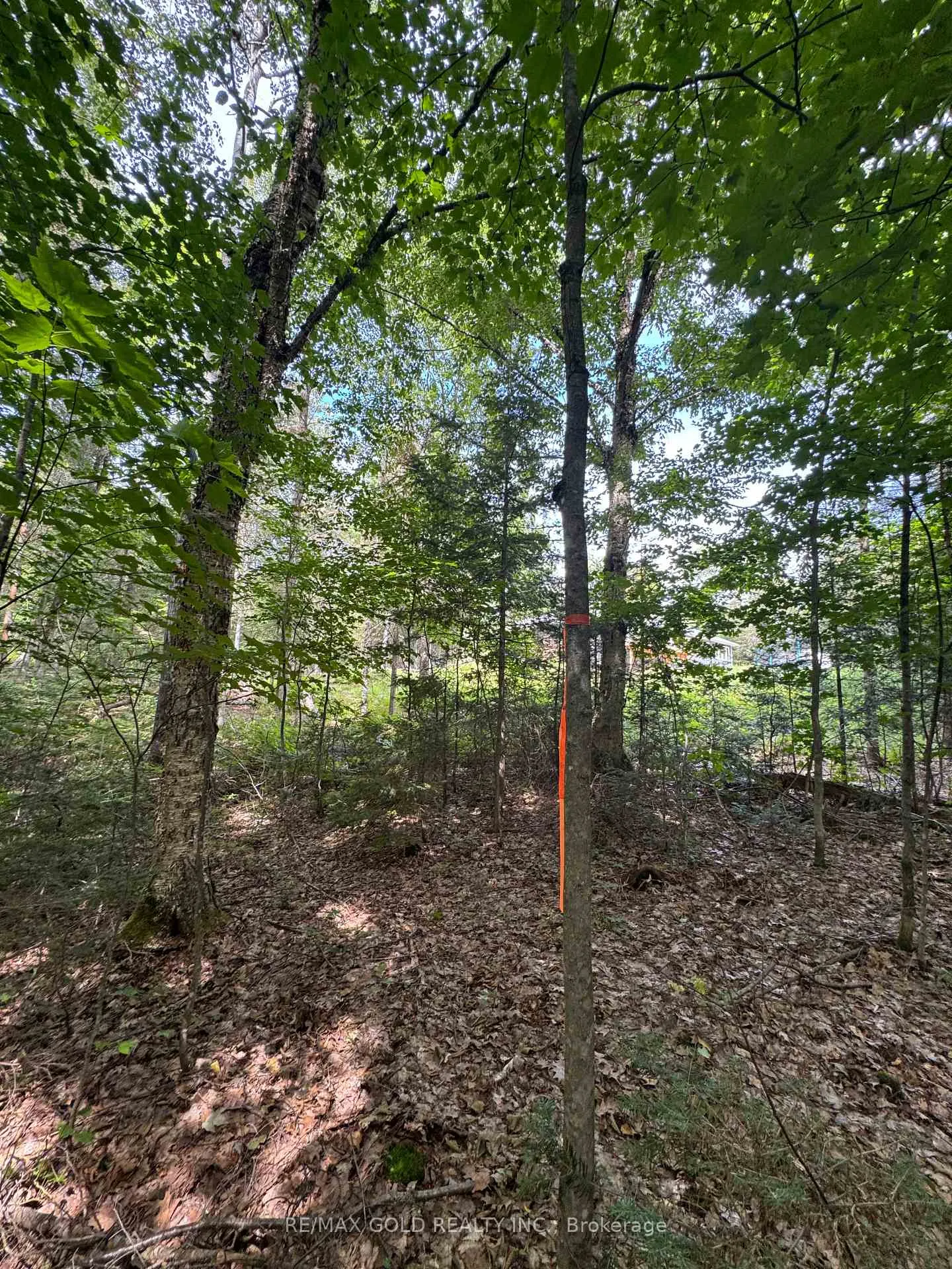 Photo 2 of 1791 Alsace Road, Nipissing — HOMEH