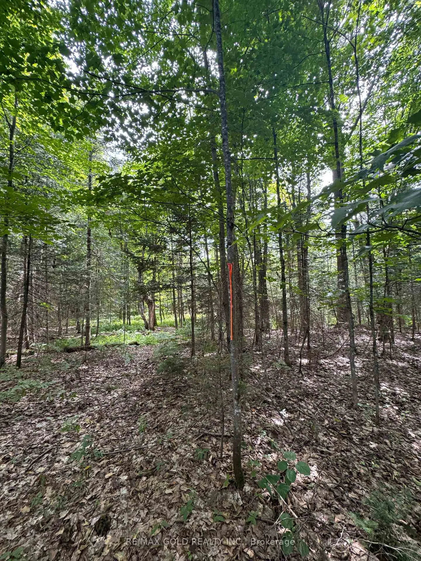 Photo 3 of 1791 Alsace Road, Nipissing — HOMEH