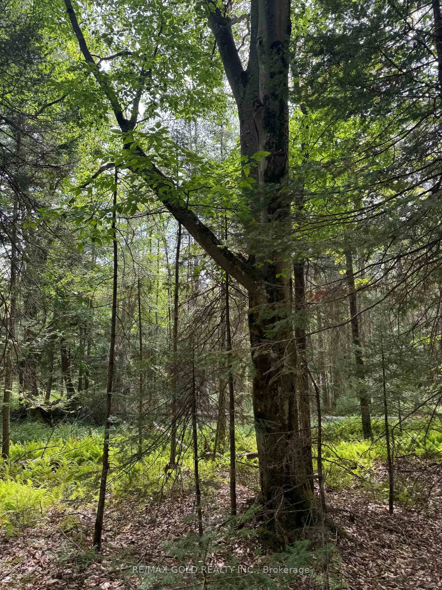 Photo 9 of 1791 Alsace Road, Nipissing — HOMEH