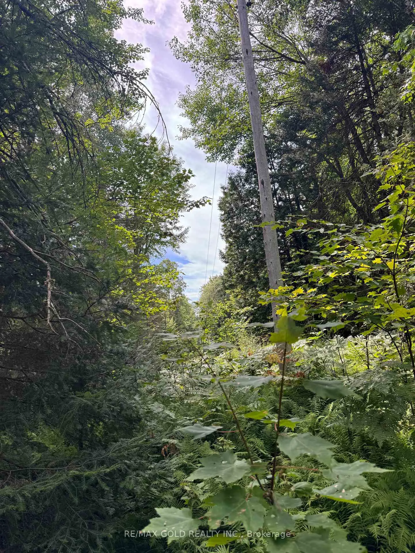Photo 11 of 1791 Alsace Road, Nipissing — HOMEH