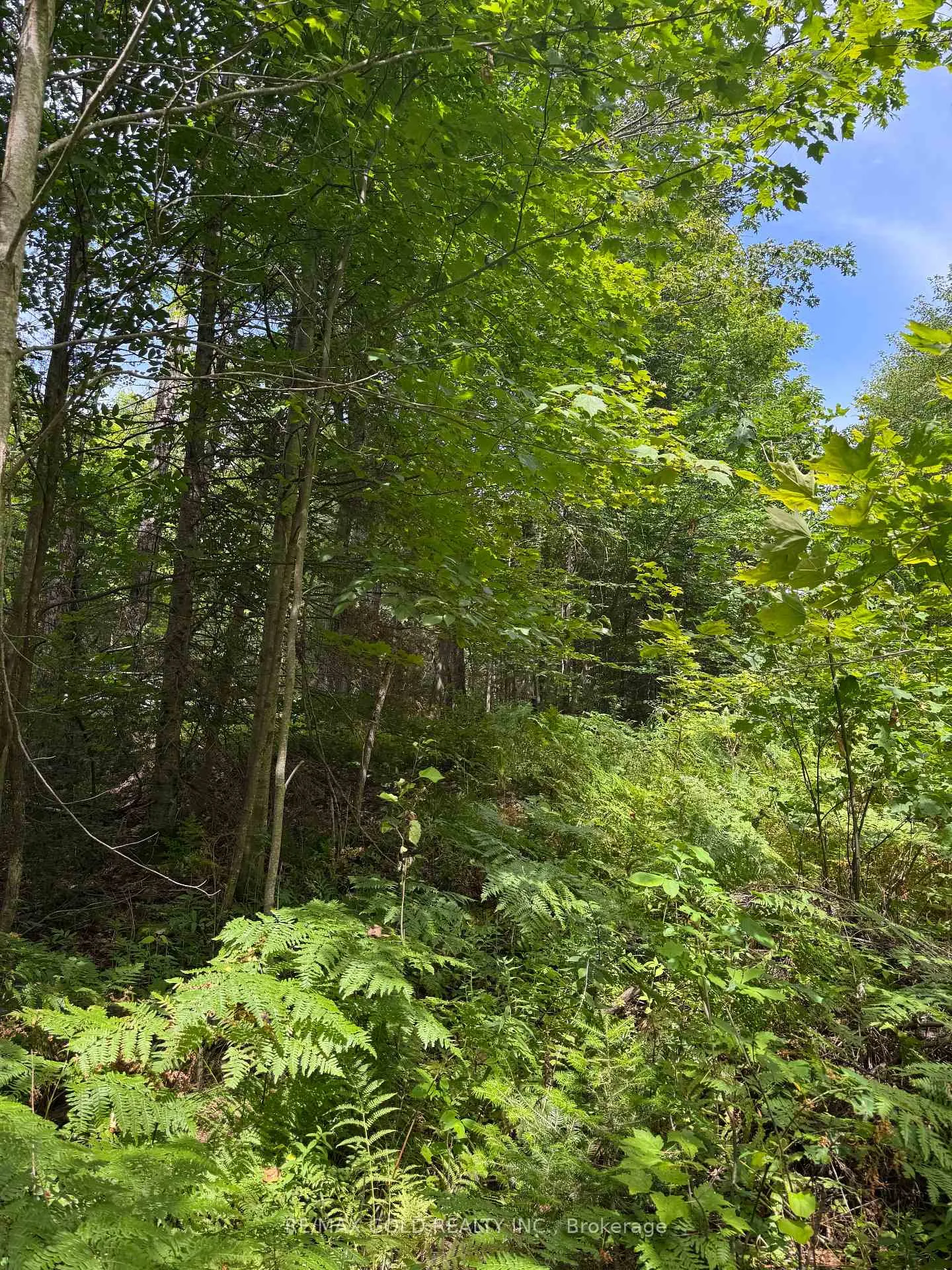 Photo 12 of 1791 Alsace Road, Nipissing — HOMEH