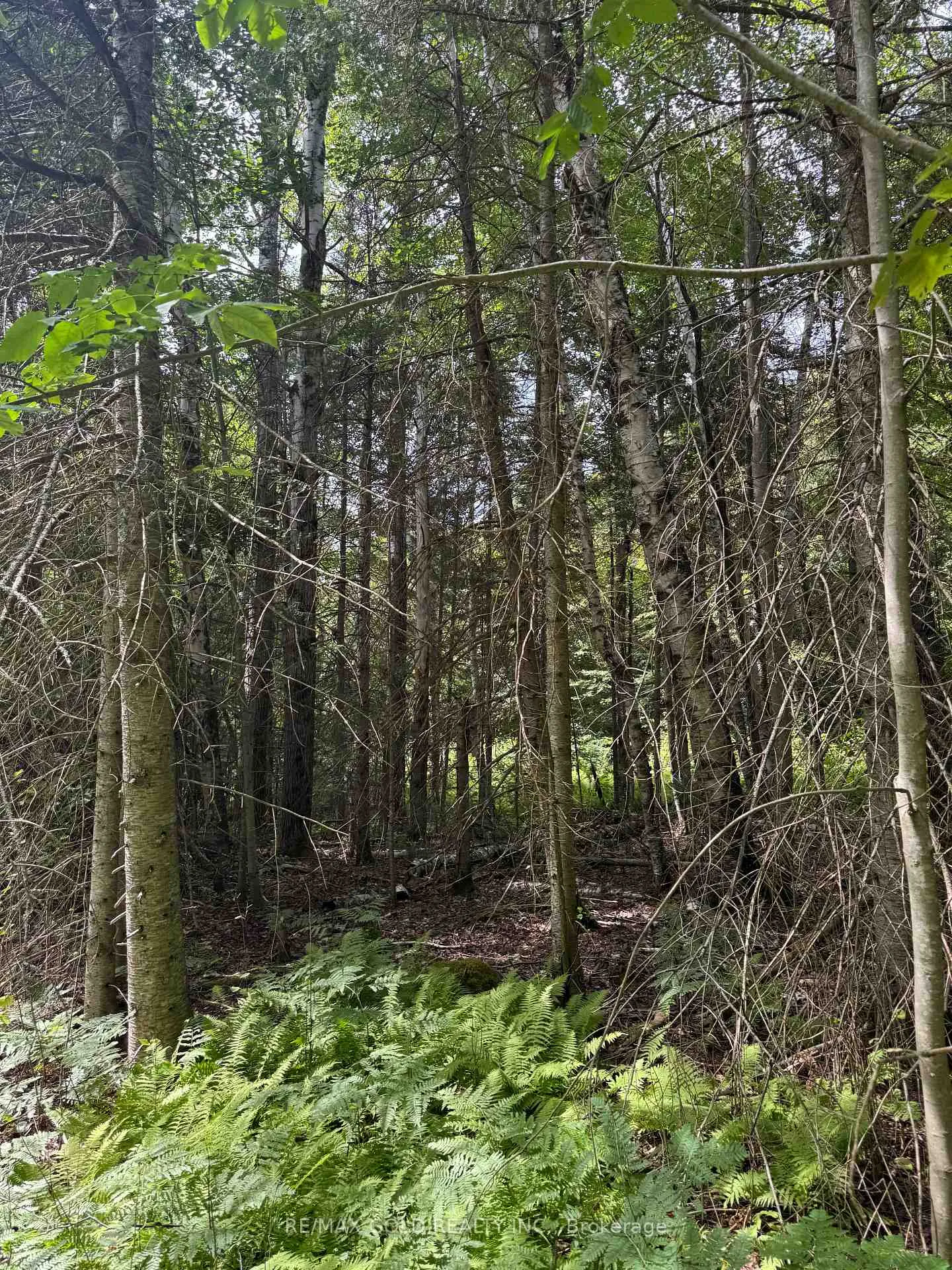 Photo 14 of 1791 Alsace Road, Nipissing — HOMEH