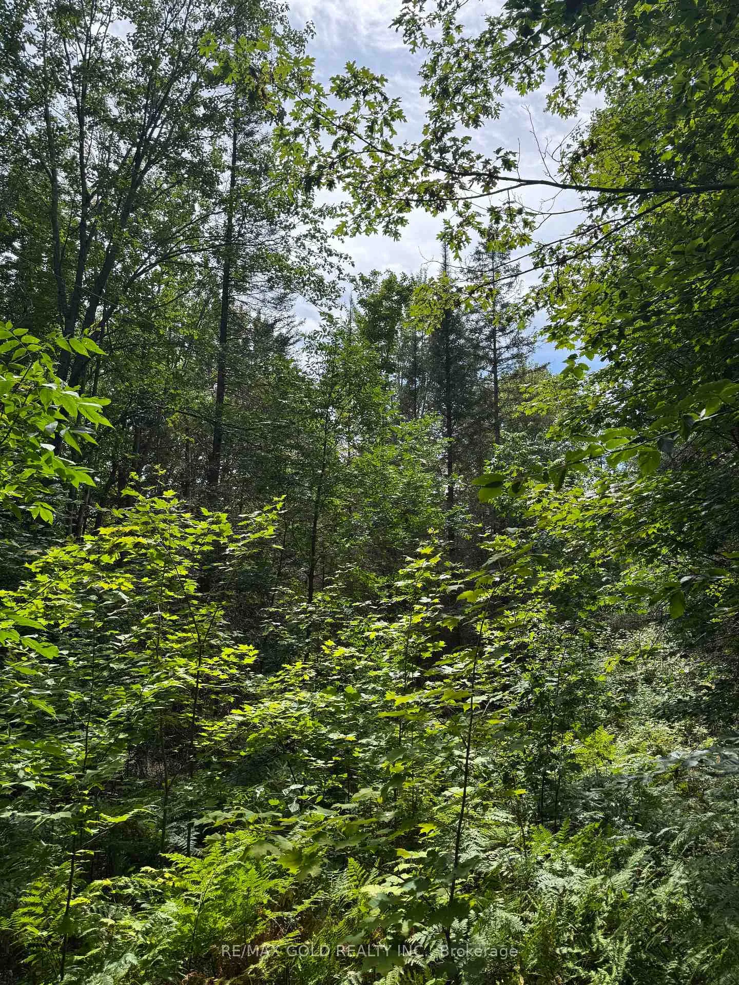 Photo 17 of 1791 Alsace Road, Nipissing — HOMEH