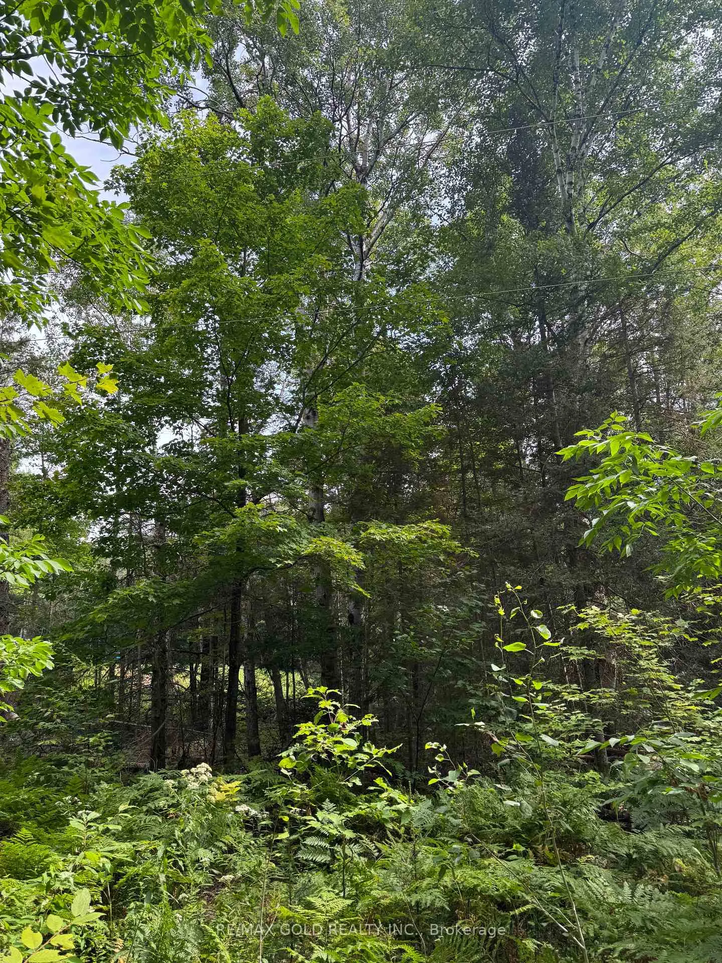 Photo 18 of 1791 Alsace Road, Nipissing — HOMEH
