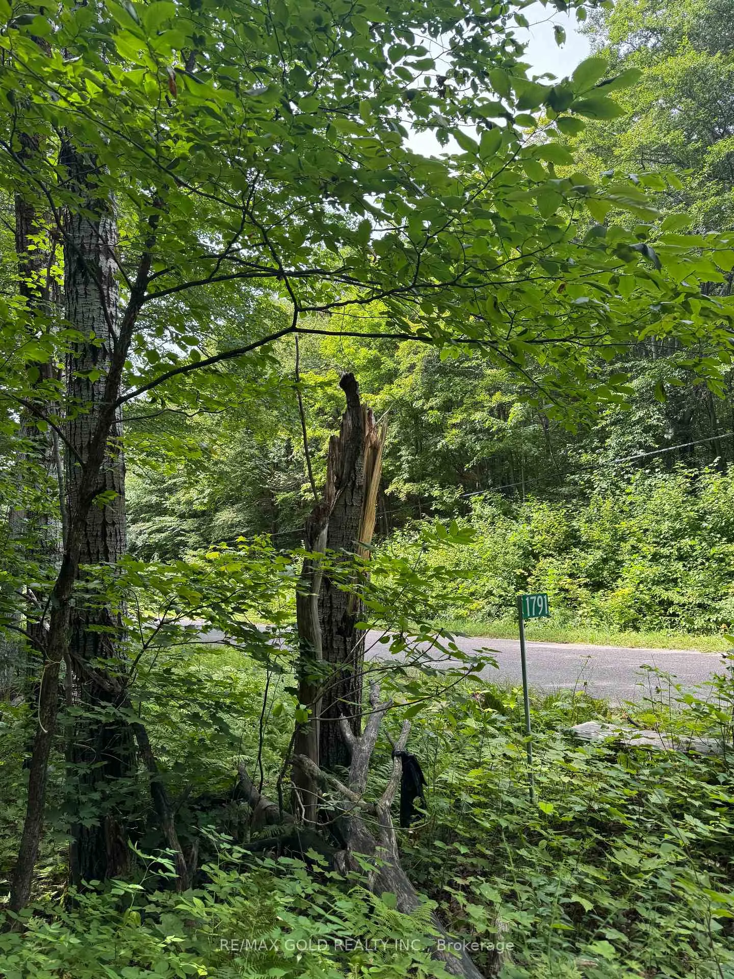 Photo 24 of 1791 Alsace Road, Nipissing — HOMEH