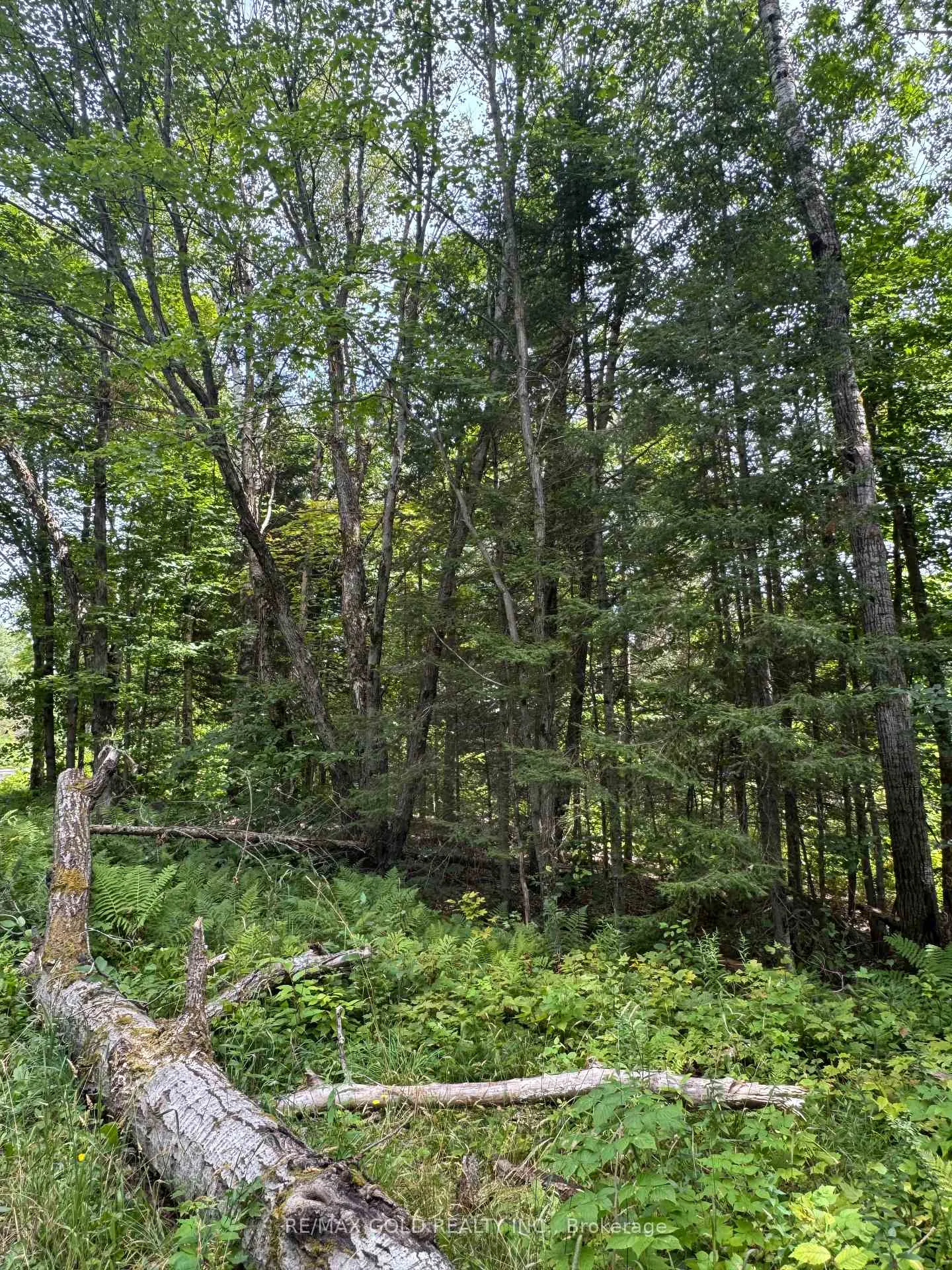 Photo 25 of 1791 Alsace Road, Nipissing — HOMEH