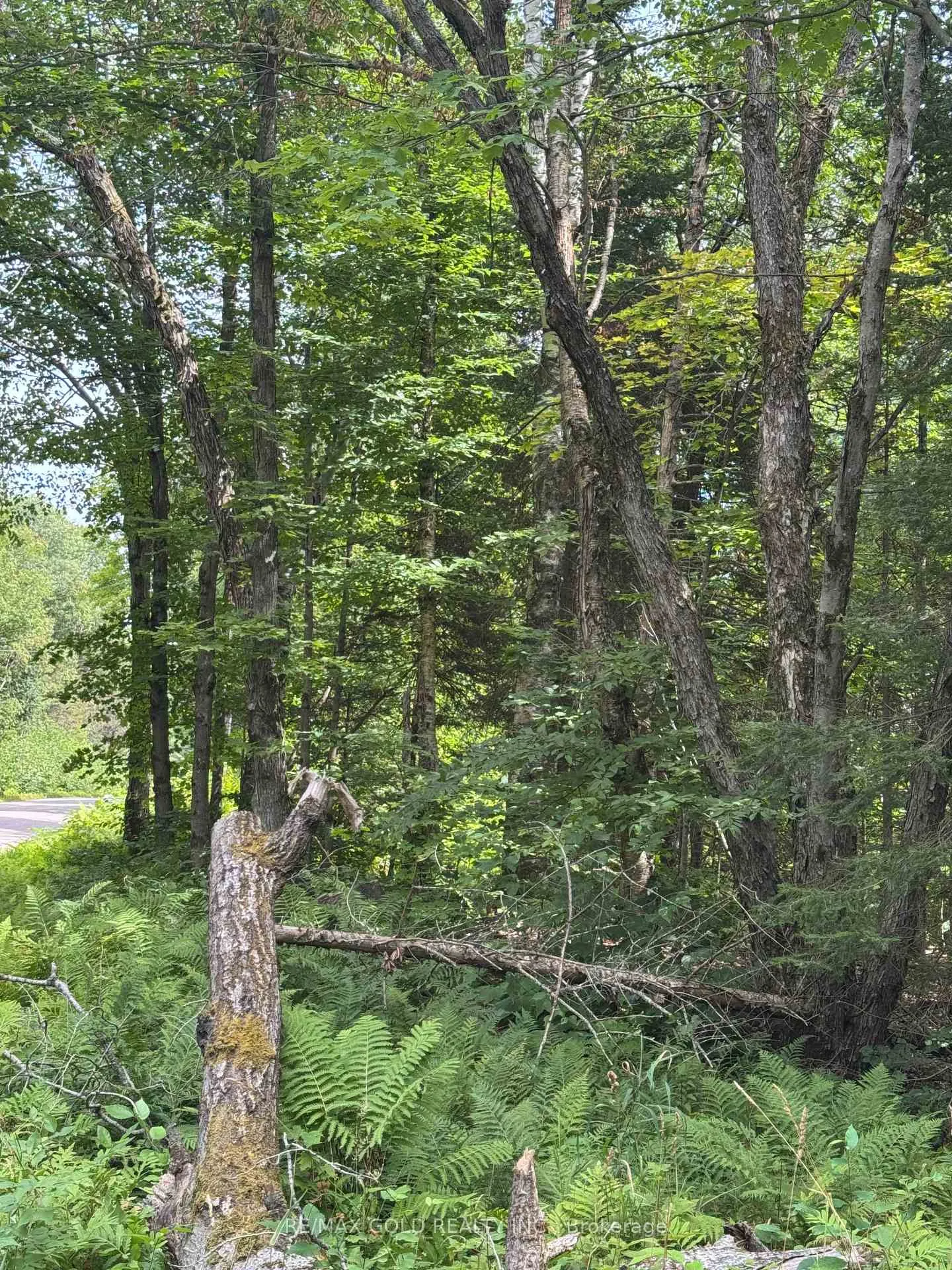 Photo 26 of 1791 Alsace Road, Nipissing — HOMEH