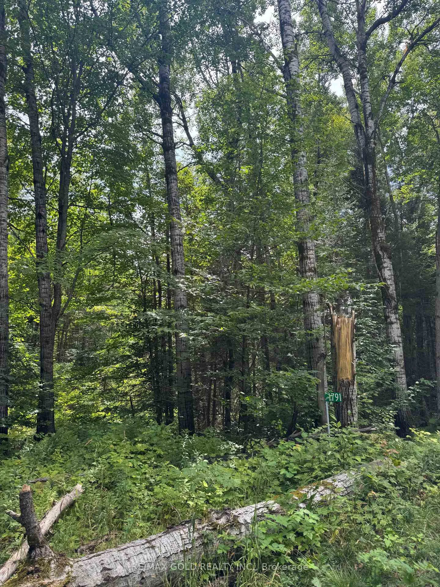 Photo 31 of 1791 Alsace Road, Nipissing — HOMEH