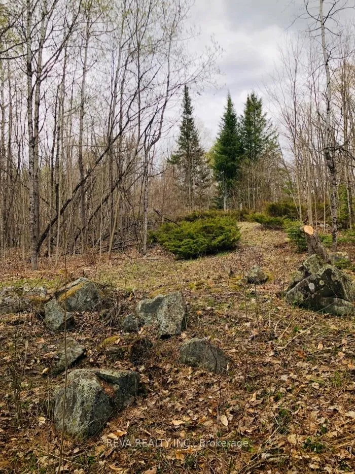 Photo 7 of 348 Matawatchan Road, Addington Highlands — HOMEH
