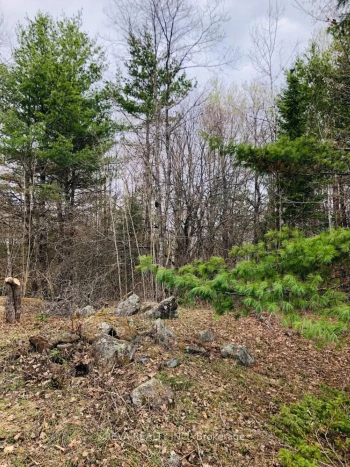 Photo 8 of 348 Matawatchan Road, Addington Highlands — HOMEH