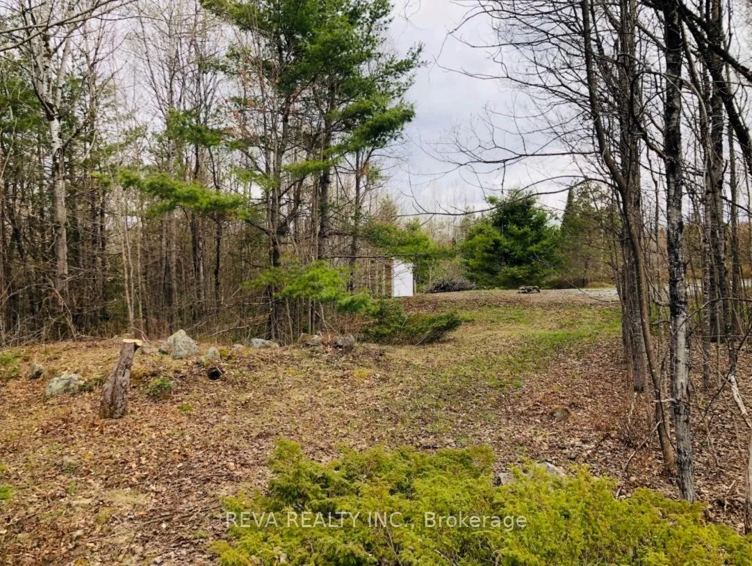 Photo 11 of 348 Matawatchan Road, Addington Highlands — HOMEH
