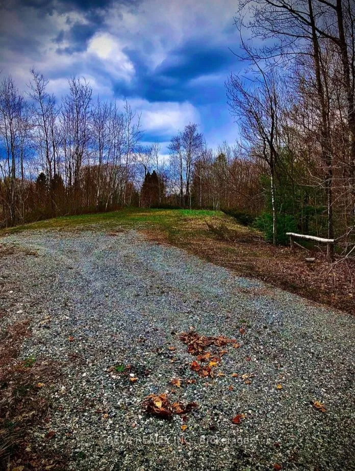 Photo 12 of 348 Matawatchan Road, Addington Highlands — HOMEH