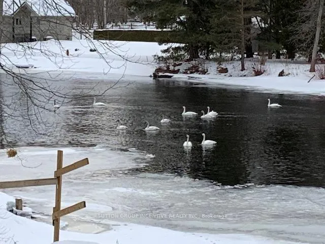 Photo 41 of 4600 Trent Trail, Severn, Rural Severn — HOMEH