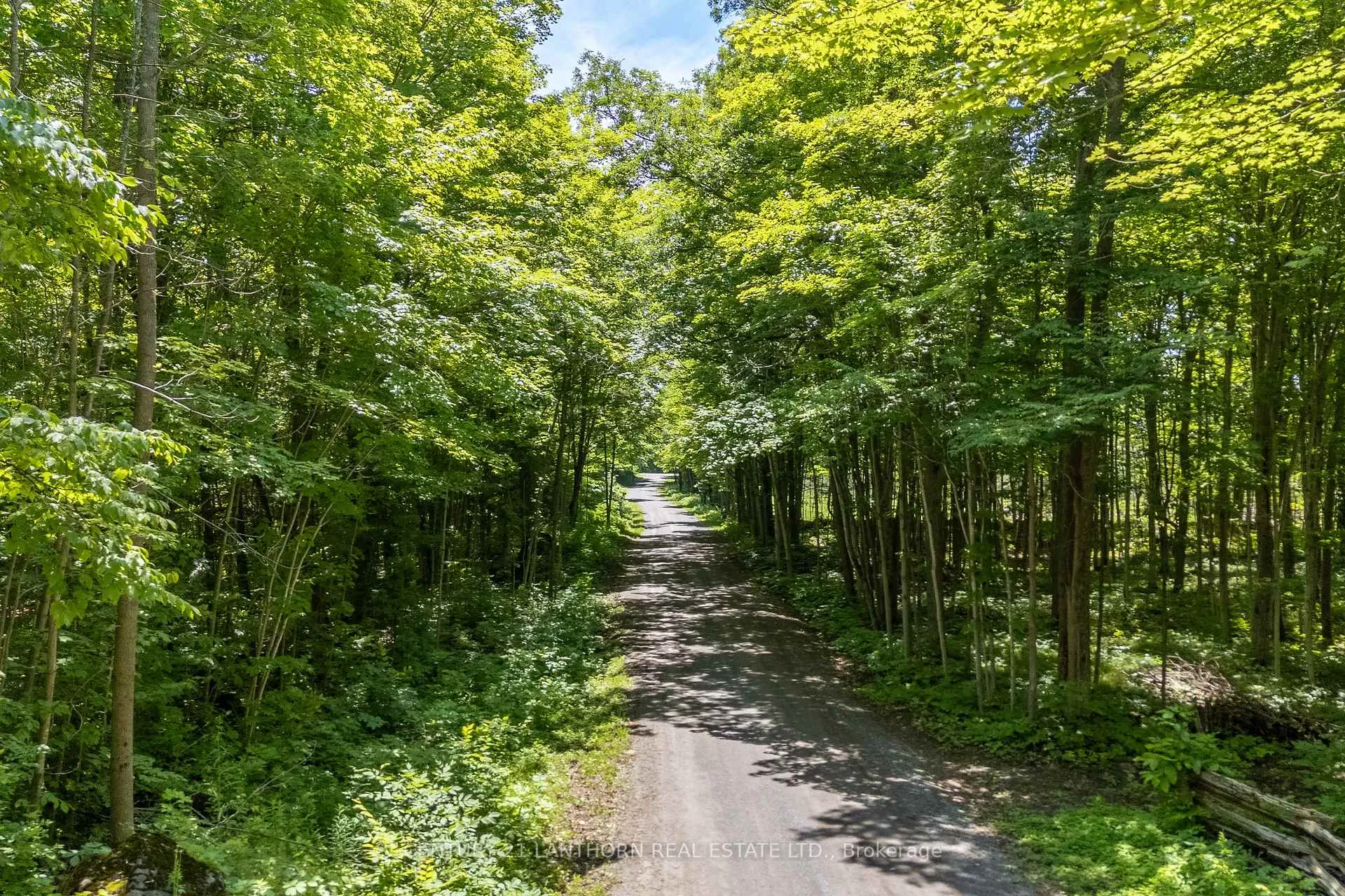 Photo of 55 Post Road