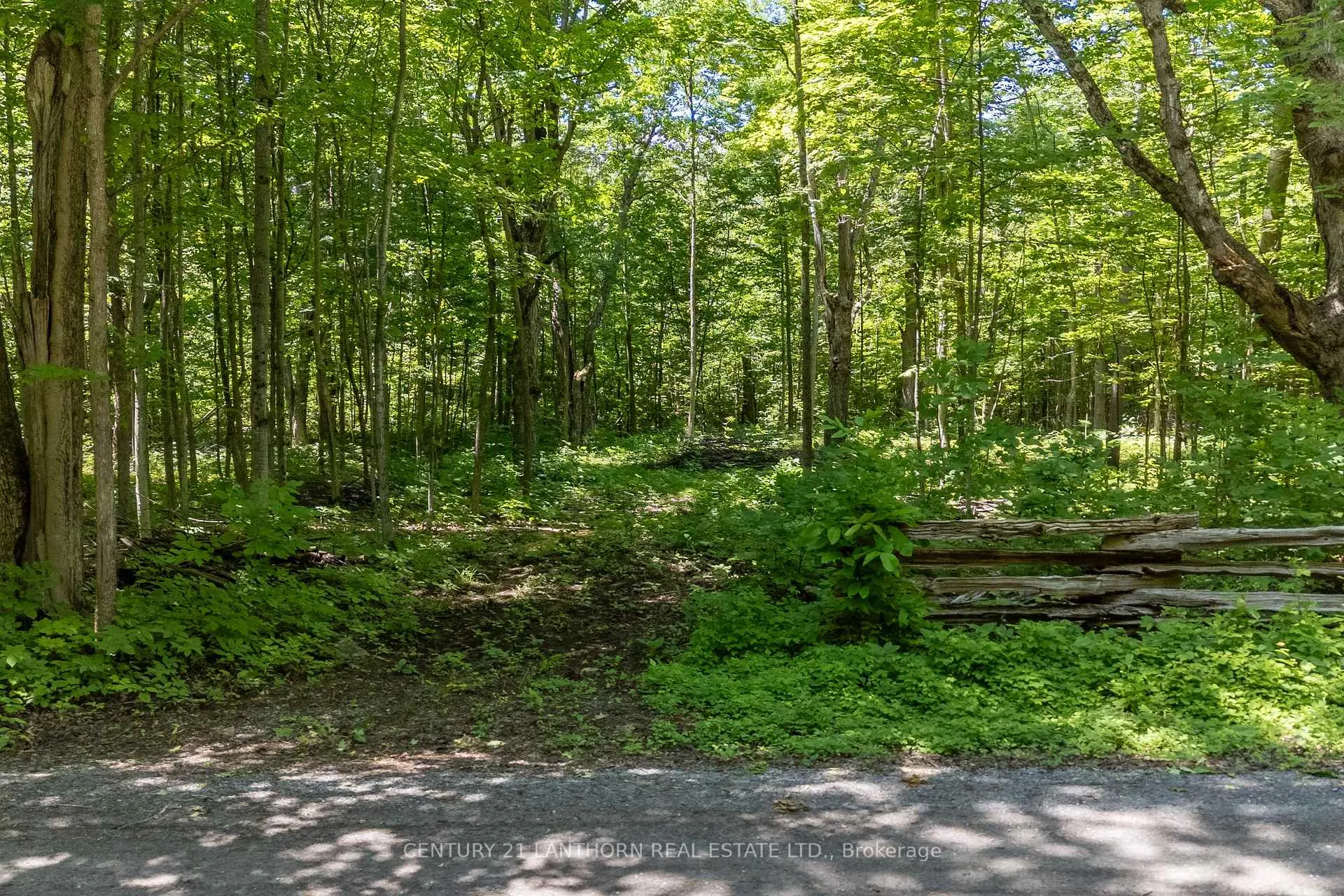 Photo 3 of 55 Post Road, Centre Hastings — HOMEH