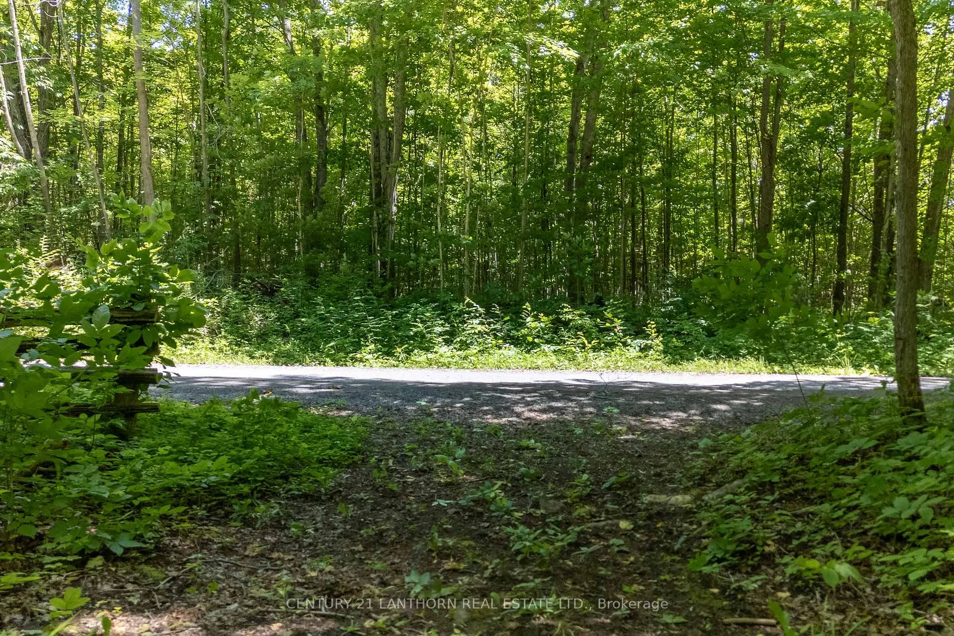 Photo 4 of 55 Post Road, Centre Hastings — HOMEH