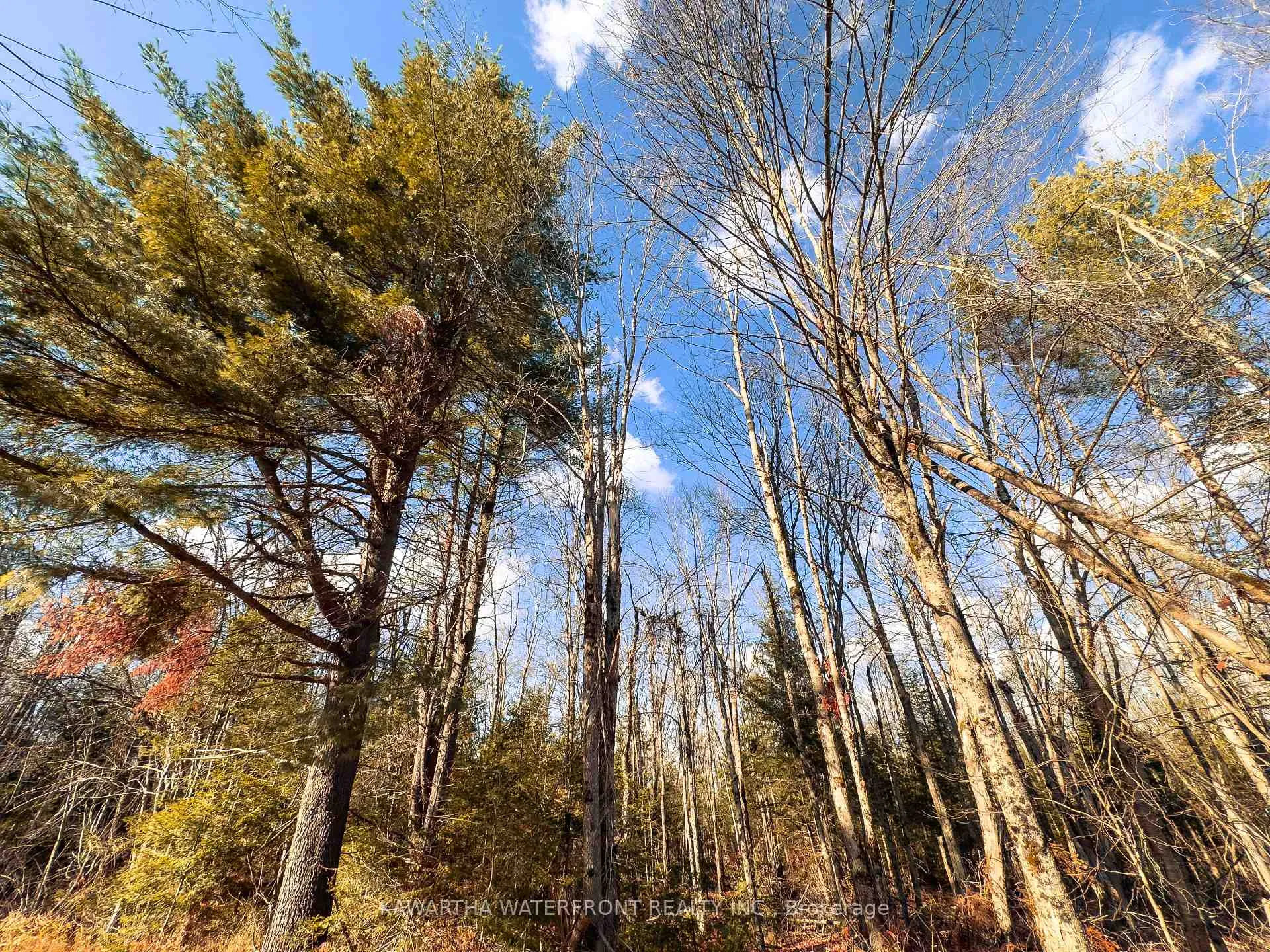 Photo 2 of Weismuller Lane, Bracebridge, Draper — HOMEH