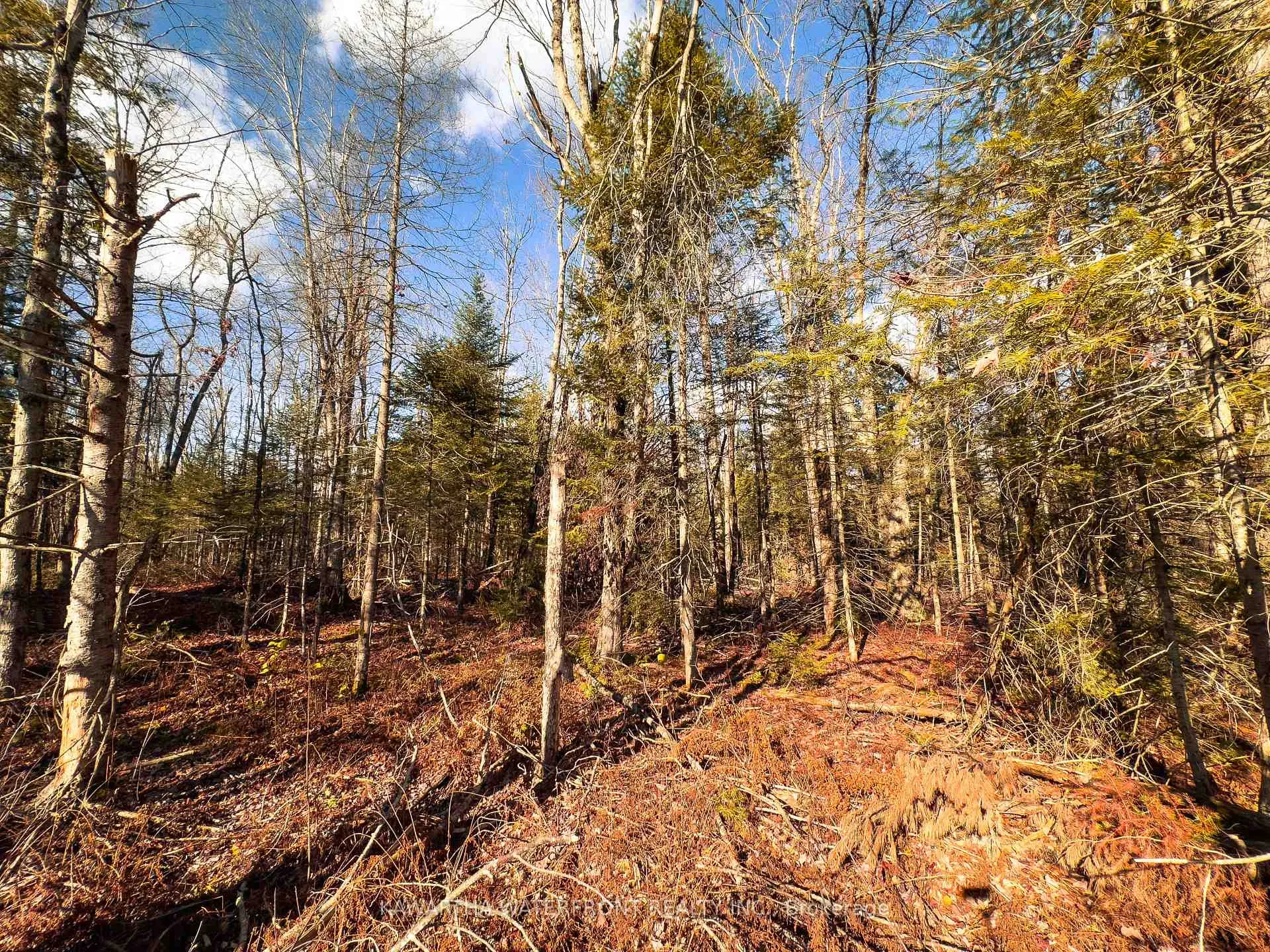 Photo 4 of Weismuller Lane, Bracebridge, Draper — HOMEH