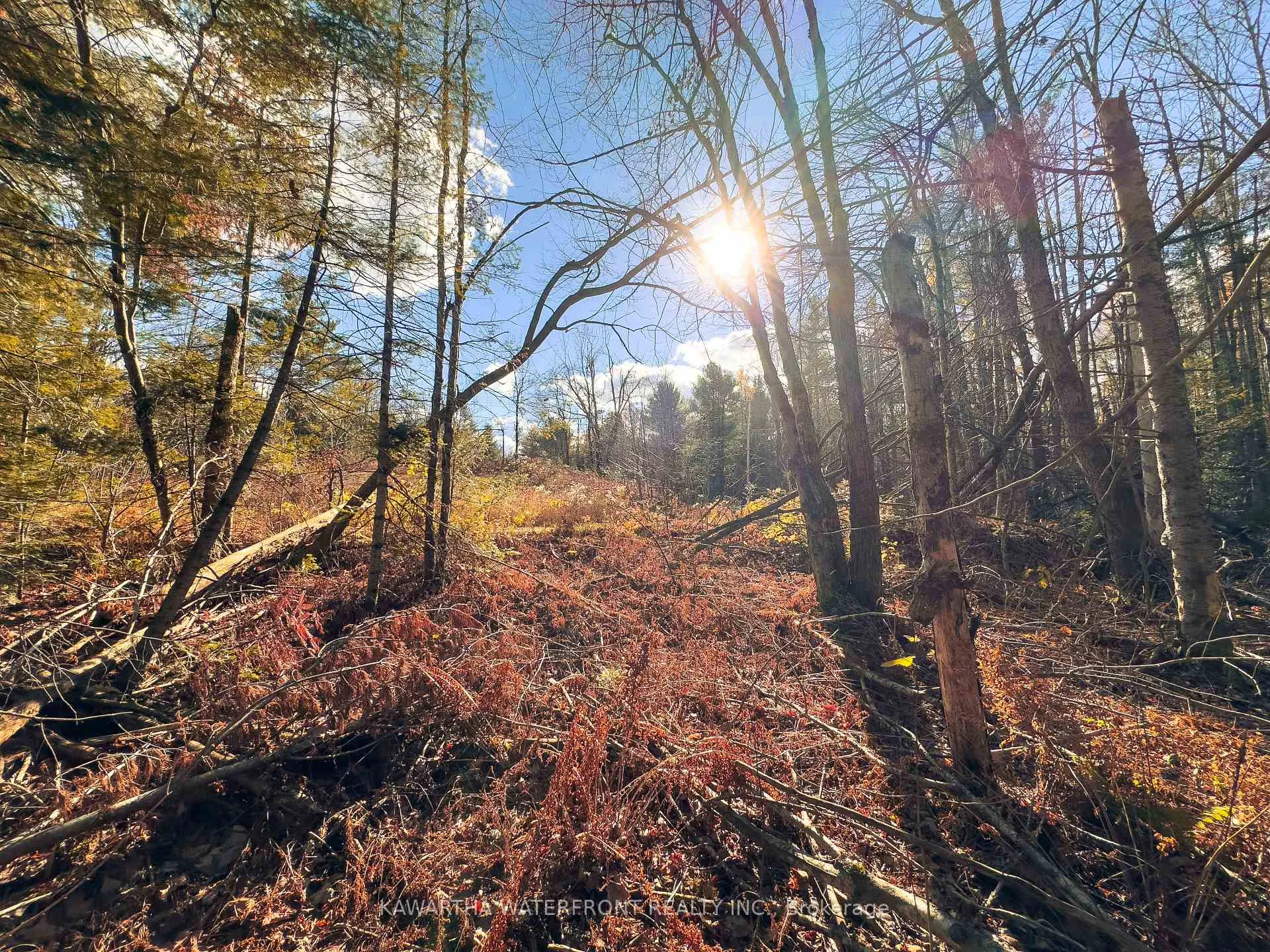 Photo 5 of Weismuller Lane, Bracebridge, Draper — HOMEH