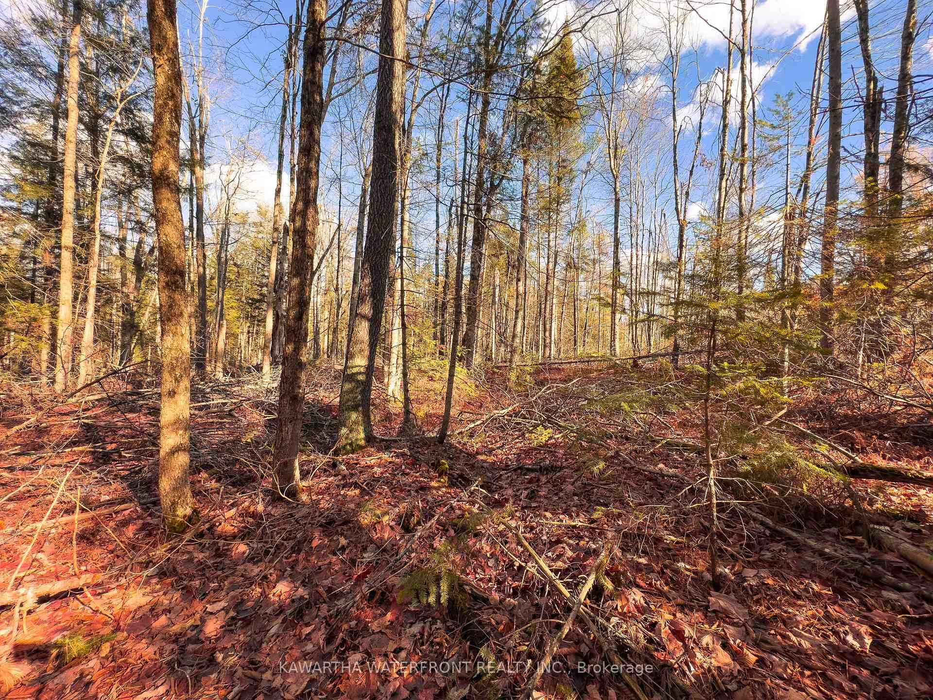 Photo 6 of Weismuller Lane, Bracebridge, Draper — HOMEH